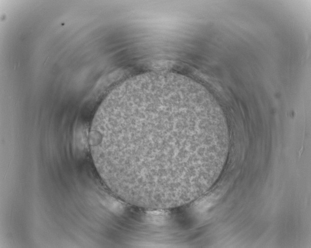 X0000088030240200706011357