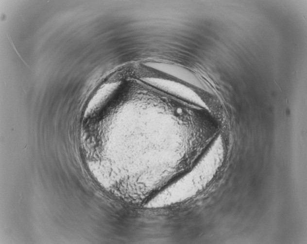 X0000088030241200706011356