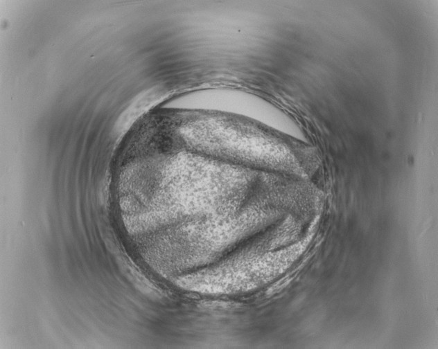 X0000088030242200706011356