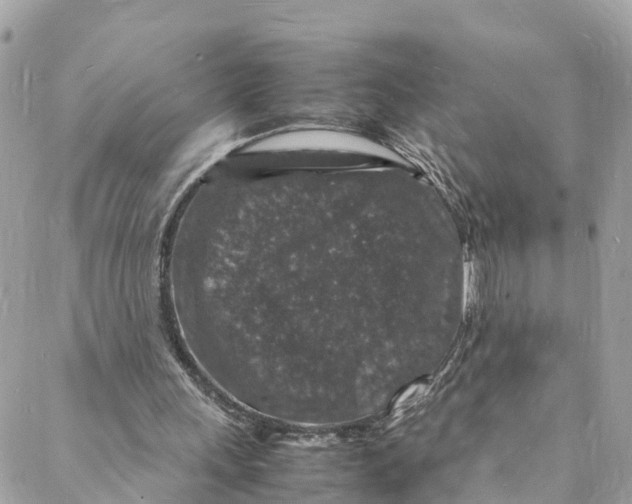 X0000088030243200706011356