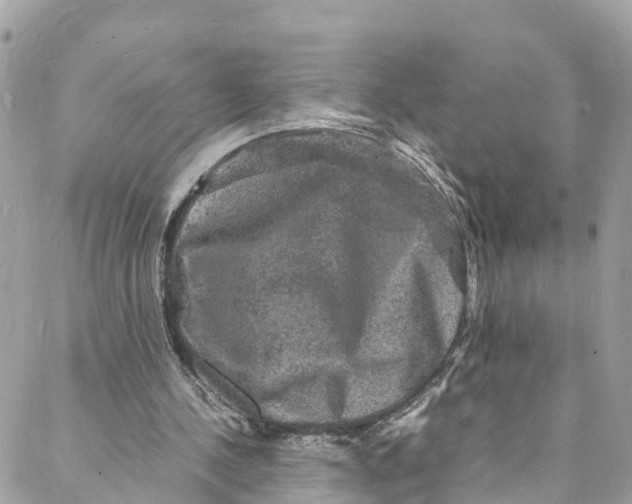 X0000088030244200706011356