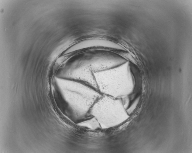 X0000088030245200706011356