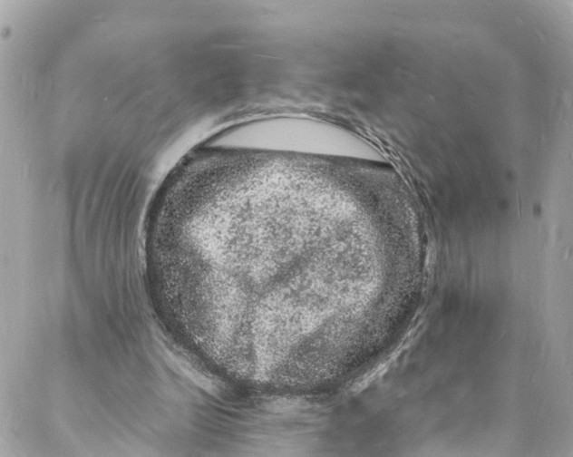 X0000088030246200706011356