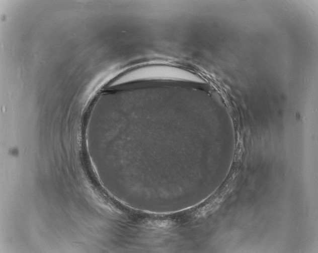 X0000088030247200706011356