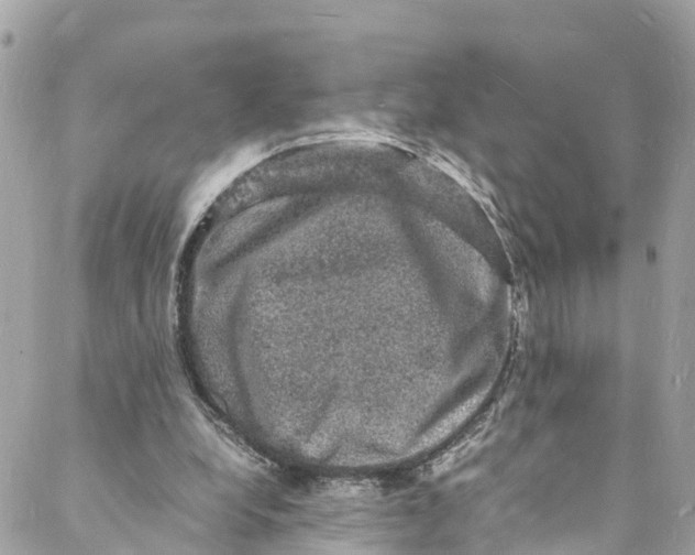 X0000088030248200706011356