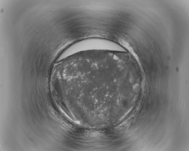 X0000088030249200706011357