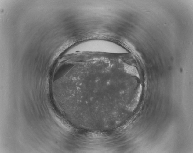 X0000088030250200706011357