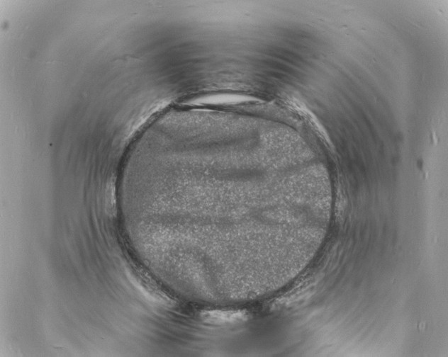 X0000088030251200706011357