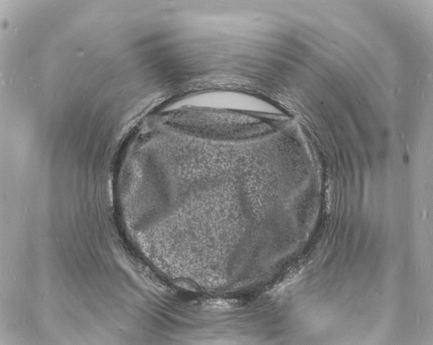 X0000088030254200706011357