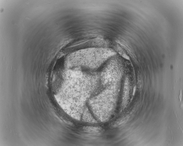 X0000088030255200706011357