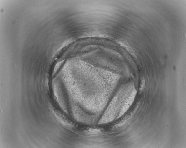 X0000088030256200706011357