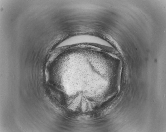 X0000088030257200706011357