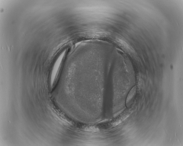 X0000088030258200706011357