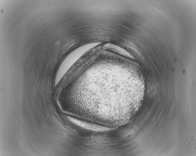 X0000088030259200706011357