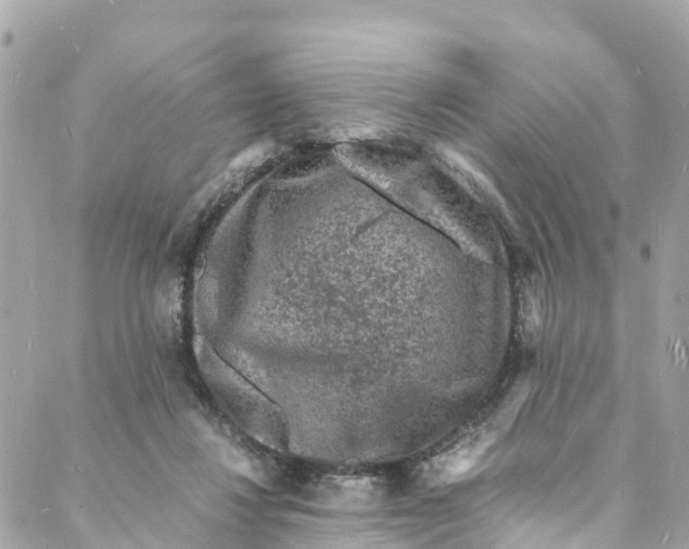 X0000088030260200706011357