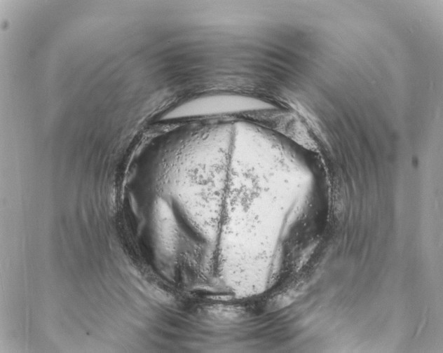 X0000088030261200706011357