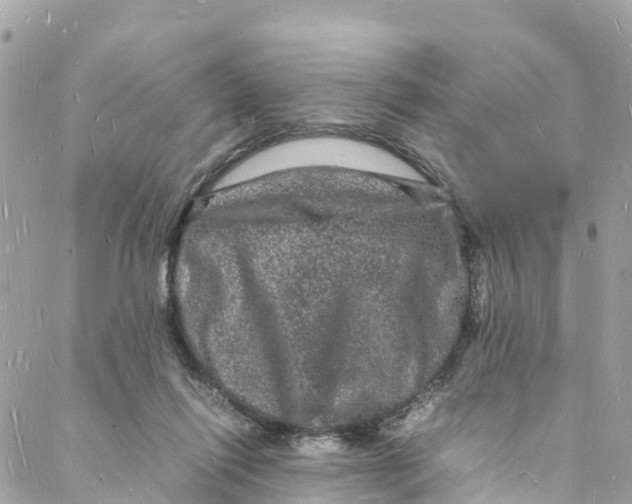 X0000088030262200706011357