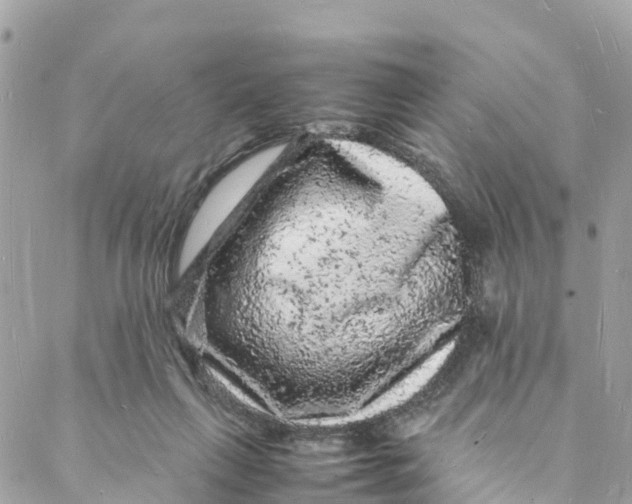 X0000088030263200706011357