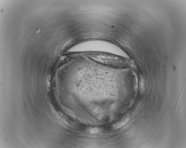 X0000088030264200706011357