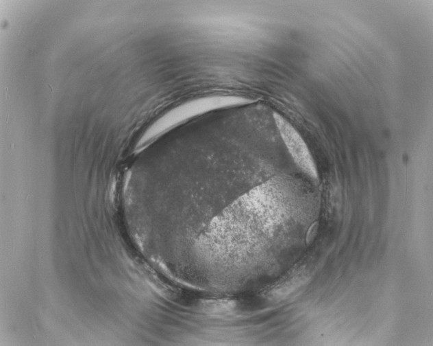 X0000088030266200706011357