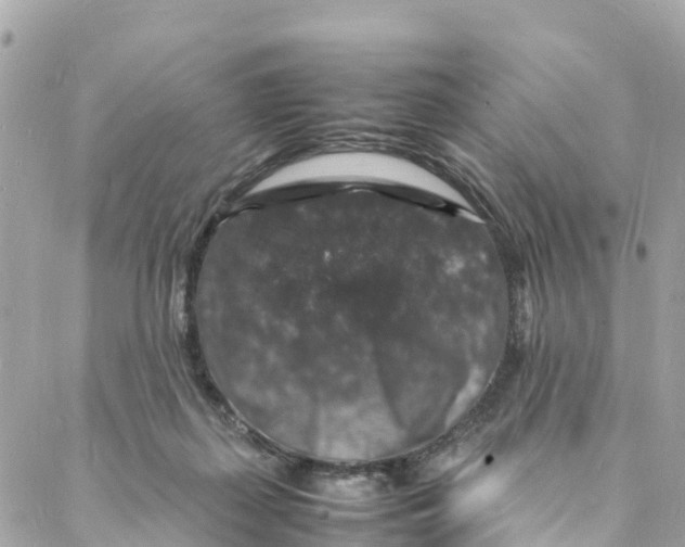 X0000088030267200706011357