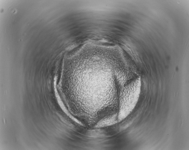 X0000088030269200706011357