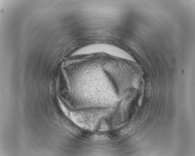 X0000088030270200706011357