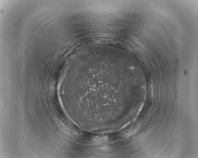 X0000088030271200706011357