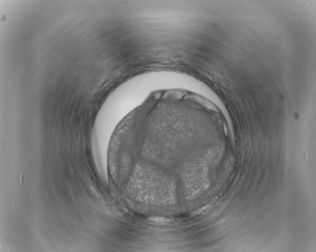 X0000088030272200706011357