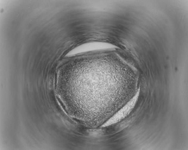 X0000088030273200706011357