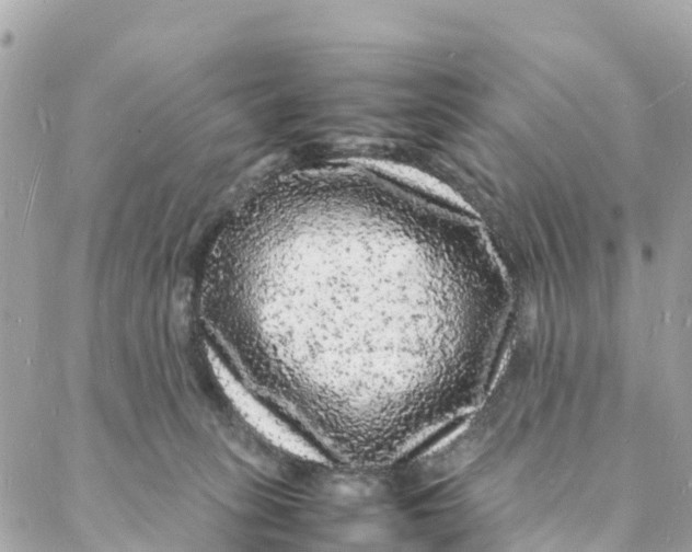 X0000088030275200706011357