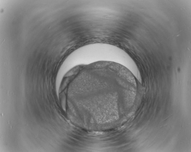 X0000088030276200706011357