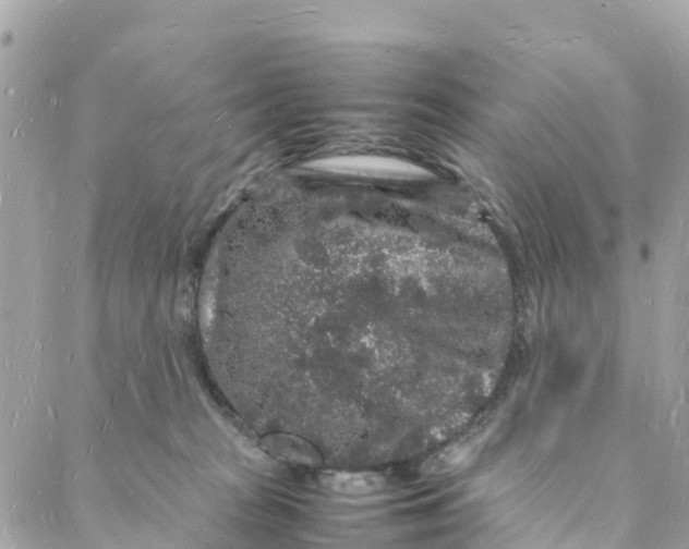 X0000088030277200706011357