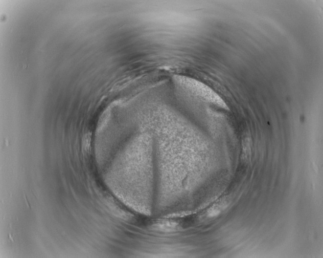 X0000088030278200706011357