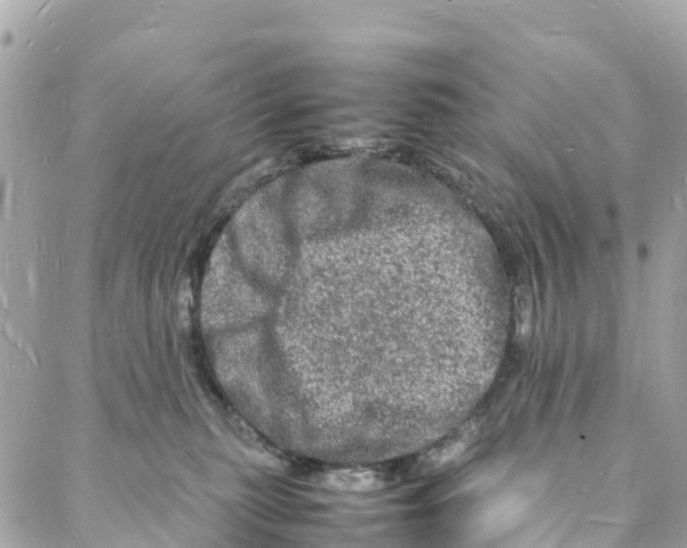 X0000088030279200706011357