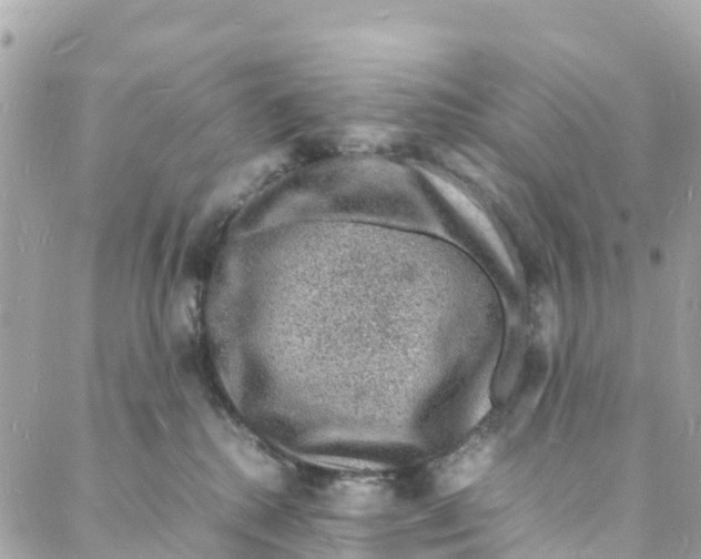 X0000088030280200706011357