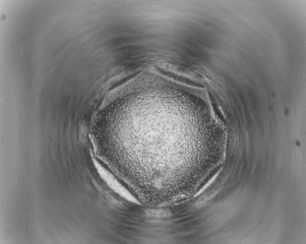 X0000088030281200706011357