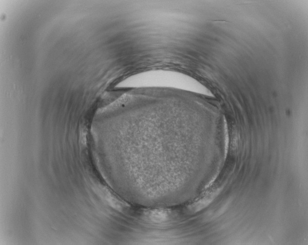 X0000088030282200706011357