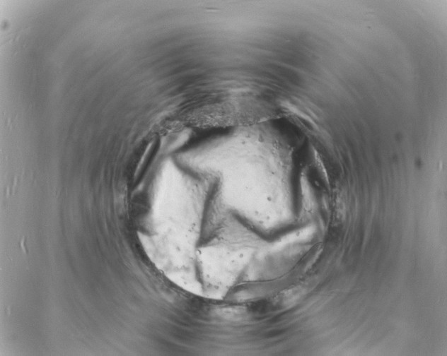 X0000088030283200706011357