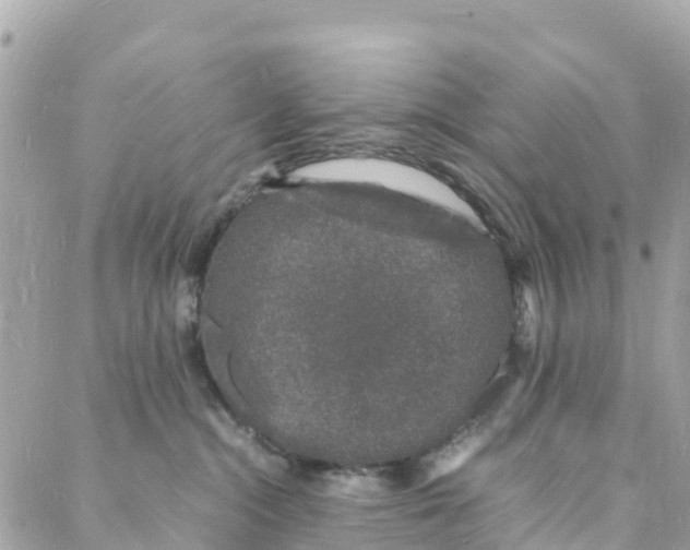 X0000088030284200706011357