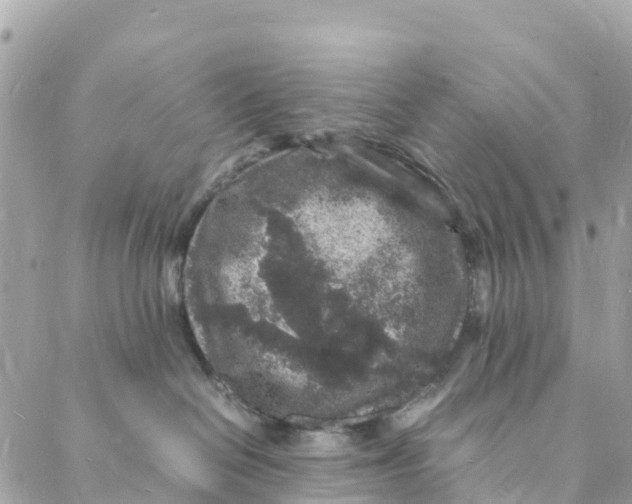 X0000088030286200706011357