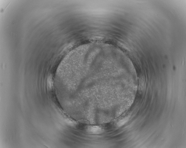 X0000088030287200706011357