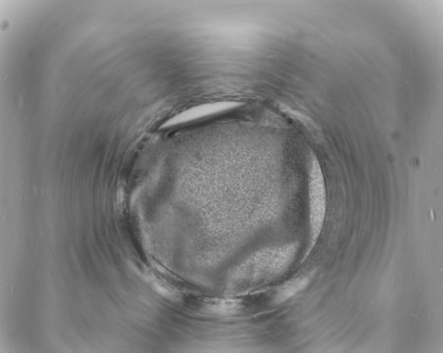 X0000088030288200706011357