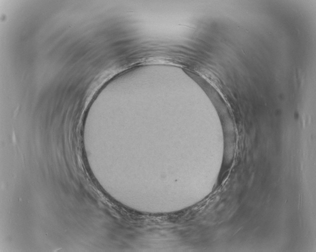 X0000088030289200706011356