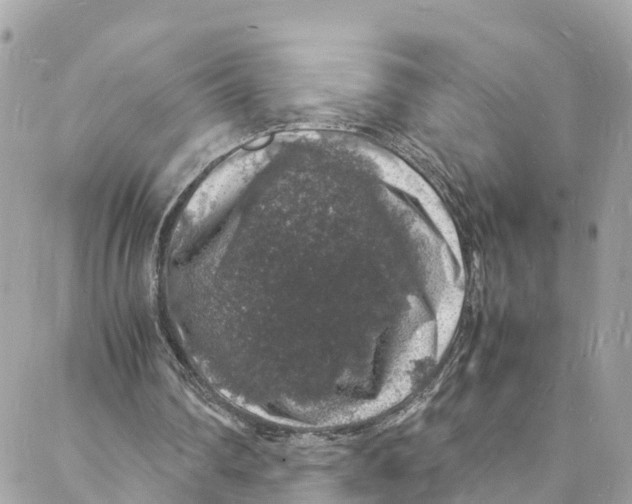 X0000088030290200706011356