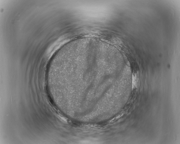 X0000088030291200706011356