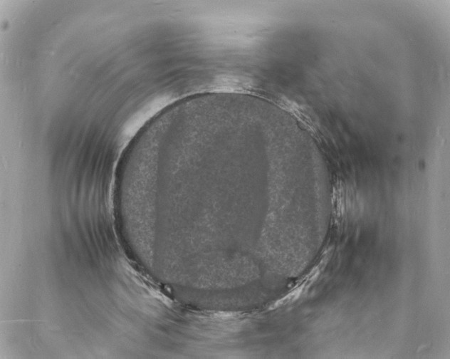 X0000088030292200706011356