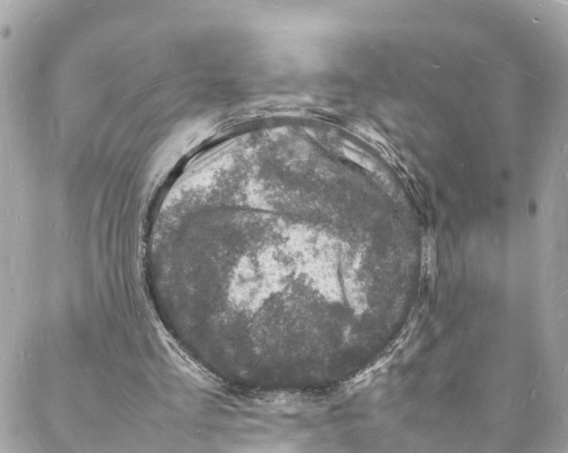 X0000088030293200706011356