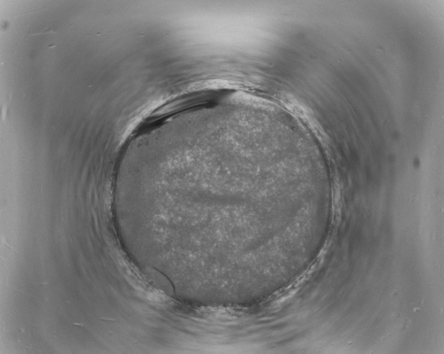 X0000088030297200706011356