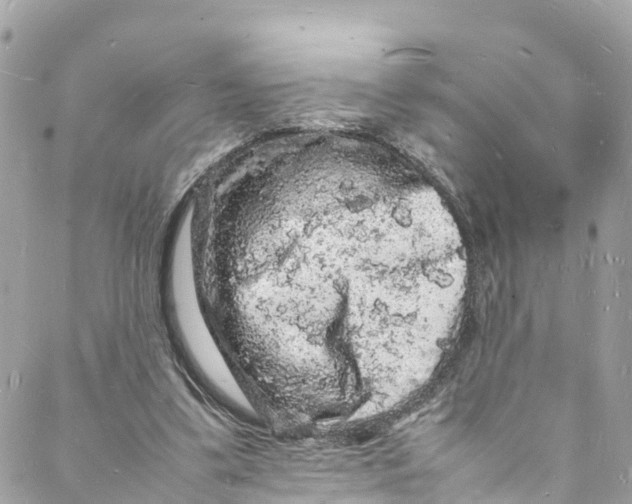 X0000088030299200706011356